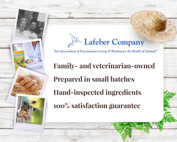 Lafeber's Lafeber's Nutri-Berries Garden Veggie Parrot (3lb)