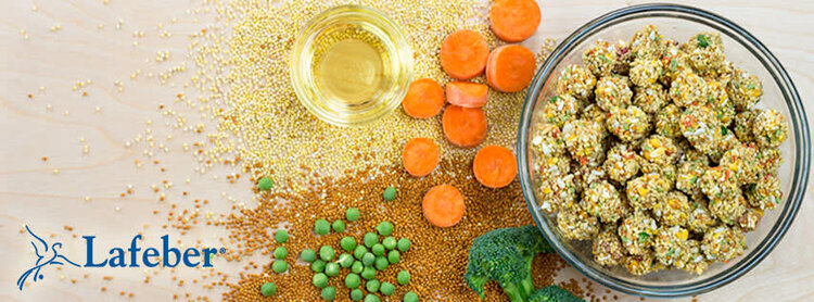 Lafeber's Lafeber's Nutri-Berries Garden Veggie Parrot (3lb)