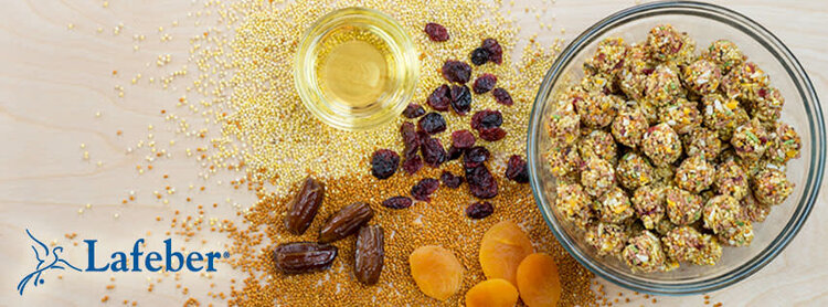 Lafeber's Lafeber Nutri-Berries Sunny Orchard Parakeet, Cockatiel, Lovebird & Conure (10oz)