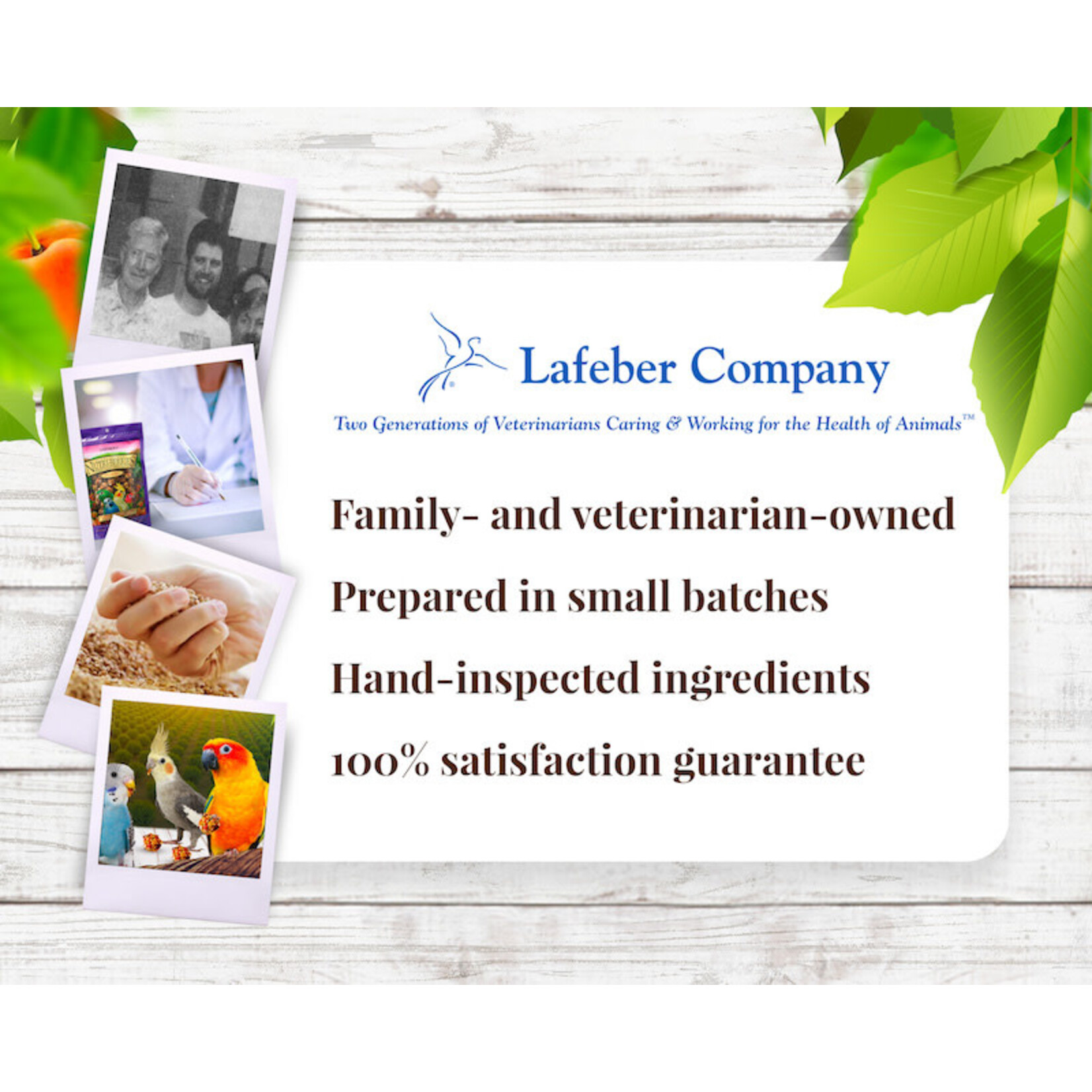 Lafeber's Lafeber Nutri-Berries Sunny Orchard Parakeet, Cockatiel, Lovebird & Conure (10oz)