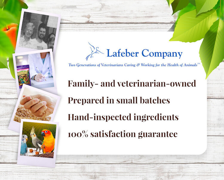 Lafeber's Lafeber Nutri-Berries Sunny Orchard Parakeet, Cockatiel, Lovebird & Conure (10oz)