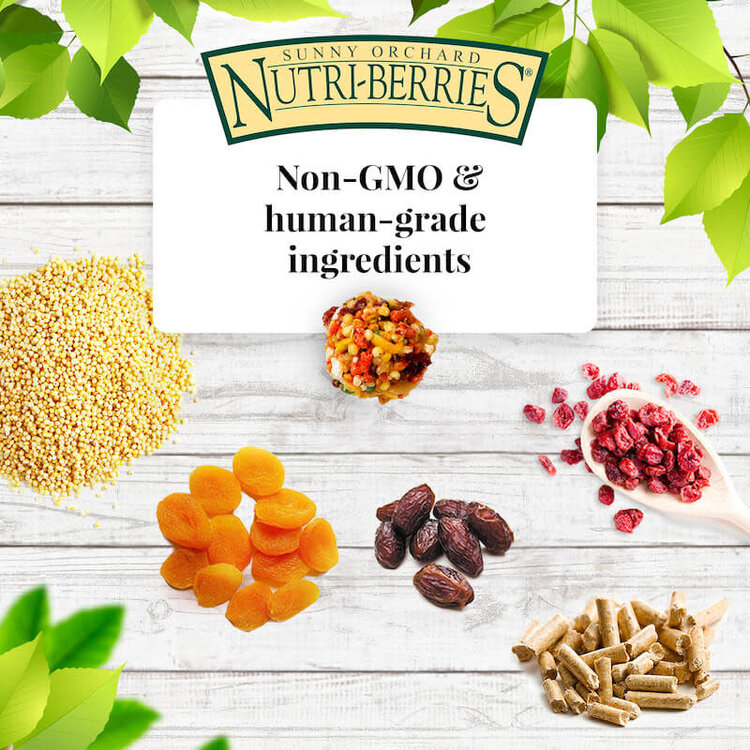 Lafeber's Lafeber Nutri-Berries Sunny Orchard Parakeet, Cockatiel, Lovebird & Conure (10oz)