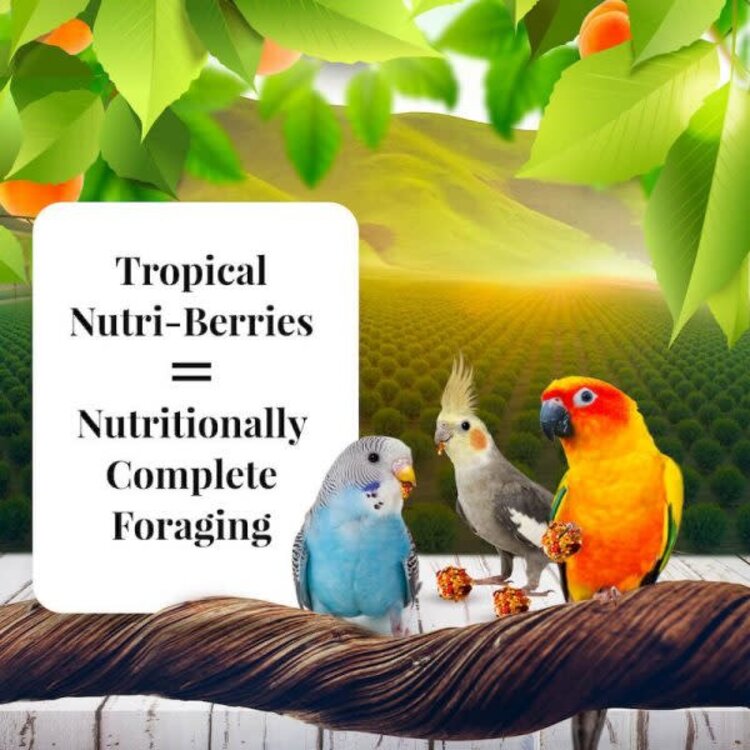Lafeber's Lafeber Nutri-Berries Sunny Orchard Parakeet, Cockatiel, Lovebird & Conure (10oz)