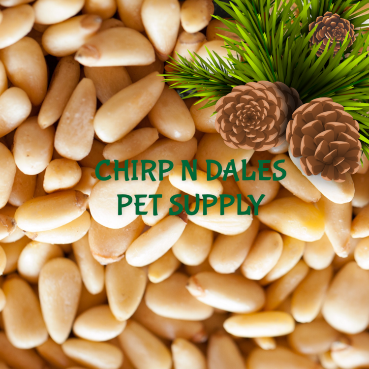 My Rewards My Rewards Pine Nuts