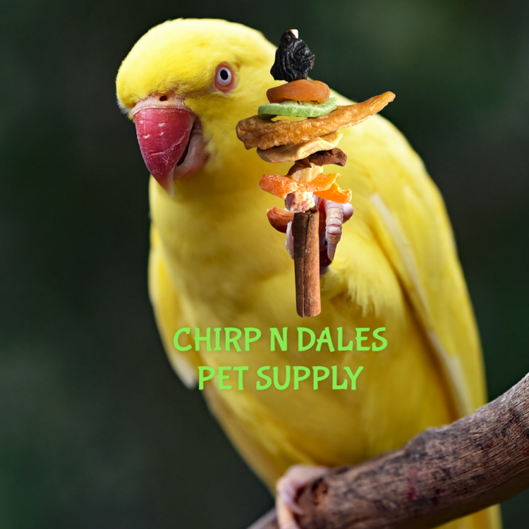 A&E Natural Dried Fruit Treat (3.3oz)