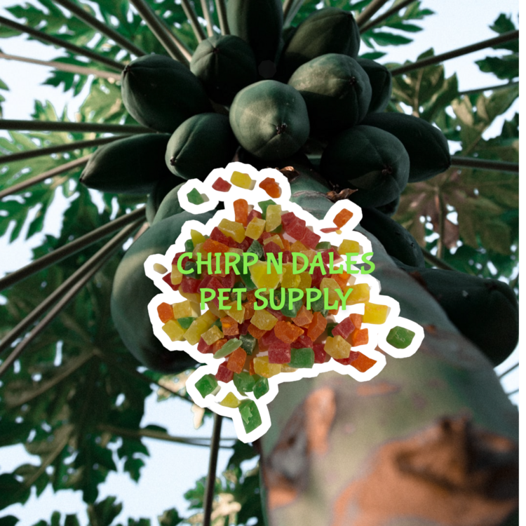 My Rewards My Rewards Mixed Fruit Delight