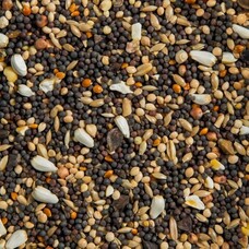 Ralph Moore RM Soak-Seed (40lb)