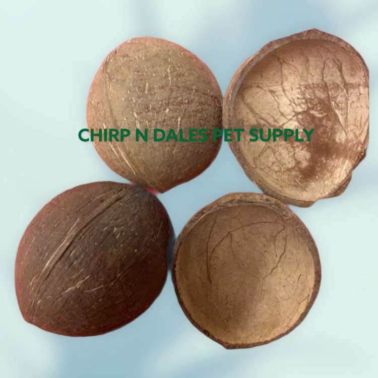 Zoo-Max Coconut Half Shells