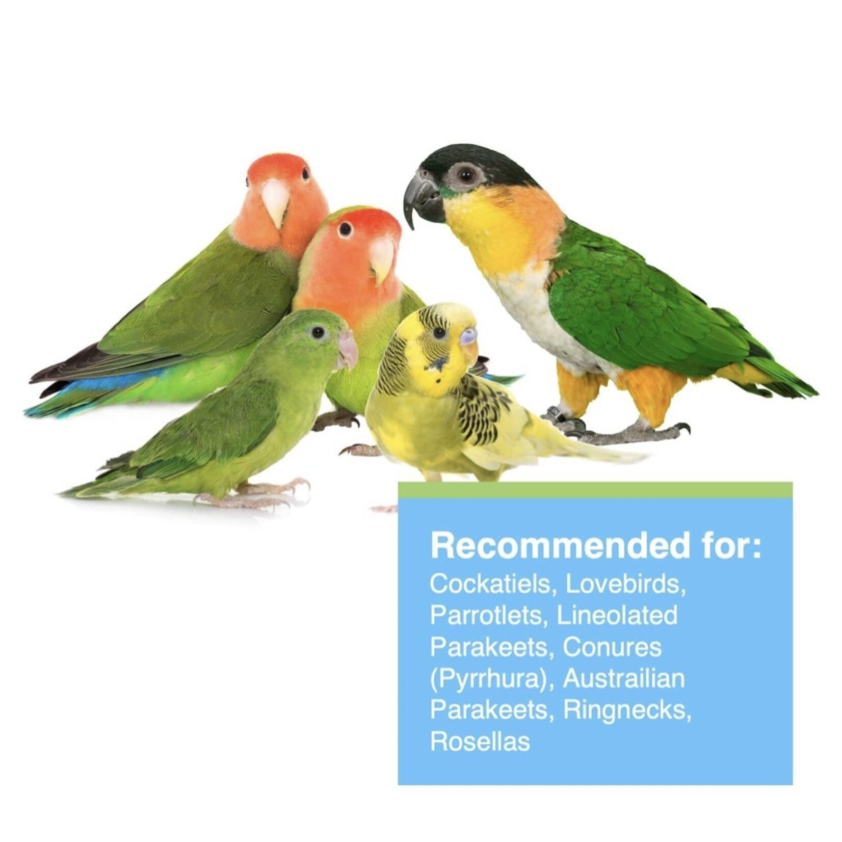 Hagen Hagen Tropimix Lovebird/Cockatiel (1 lb) 463