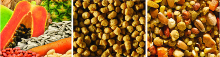 Tropimix Hagen Tropimix For Cockatiels & Lovebirds (8lb)  80633