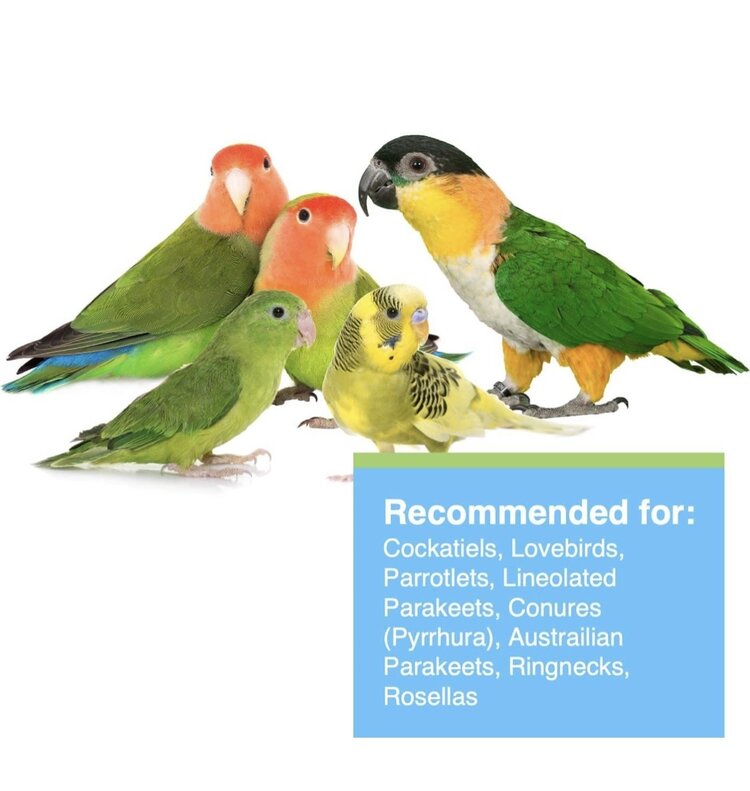 Tropimix Hagen Tropimix For Cockatiels & Lovebirds (8lb)  80633