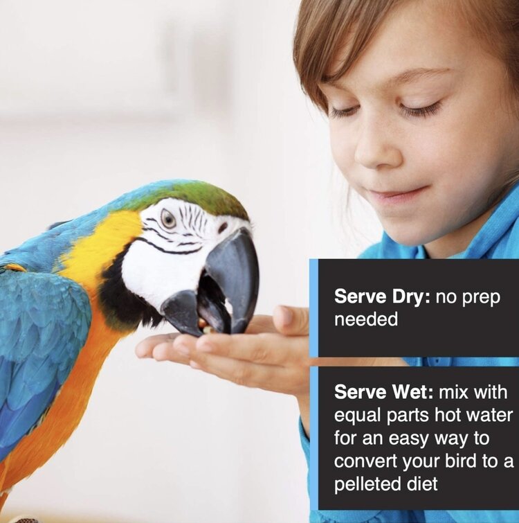 Tropimix Hagen Tropimix For Cockatiels & Lovebirds (8lb)  80633