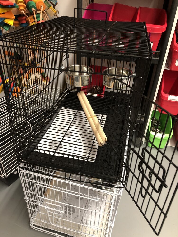 Glitter Pets GP Travel Cage Collapsible 2607-1