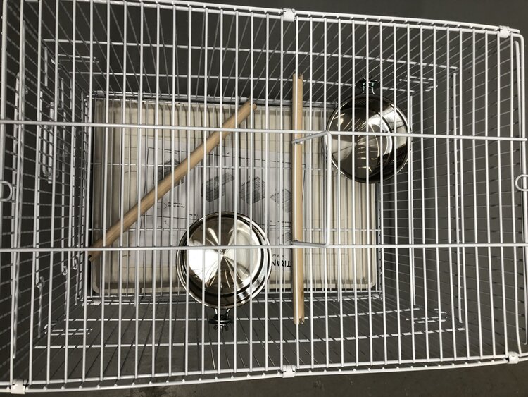 Glitter Pets GP Travel Cage Collapsible 2607-1