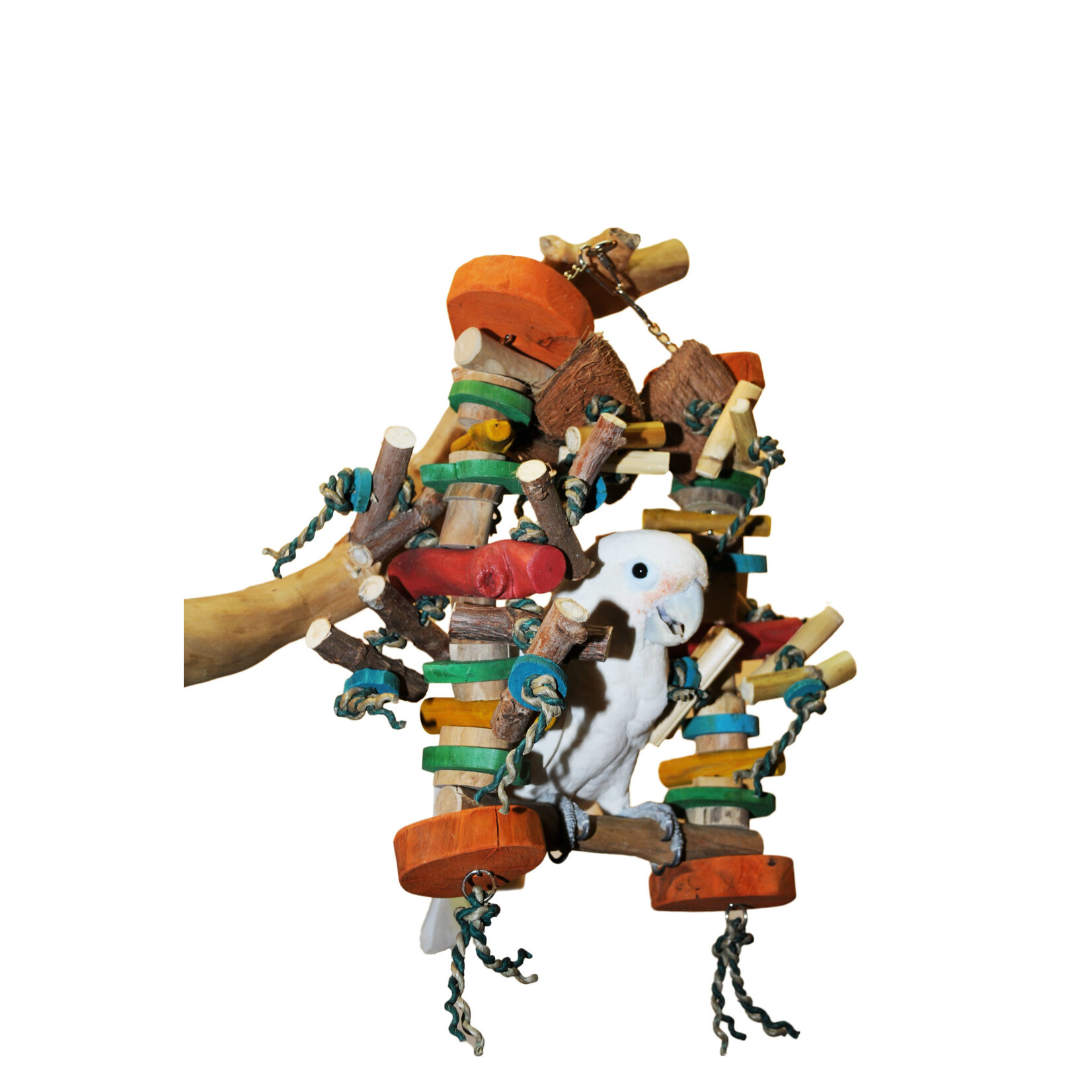A&E A&E  Happy Beaks - Small Munchy Swinger 46570