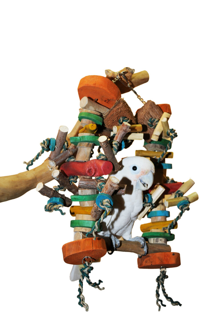 A&E A&E  Happy Beaks - Small Munchy Swinger 46570