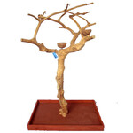A&E A&E  Small Java Wood Tree Boxed (AE250S - 38"x24"x61")