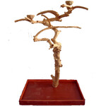A&E A&E Medium Java Wood Tree Boxed (AE250M - 38"x24"x61")