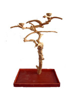 A&E A&E Medium Java Wood Tree Boxed (AE250M - 38"x24"x61")