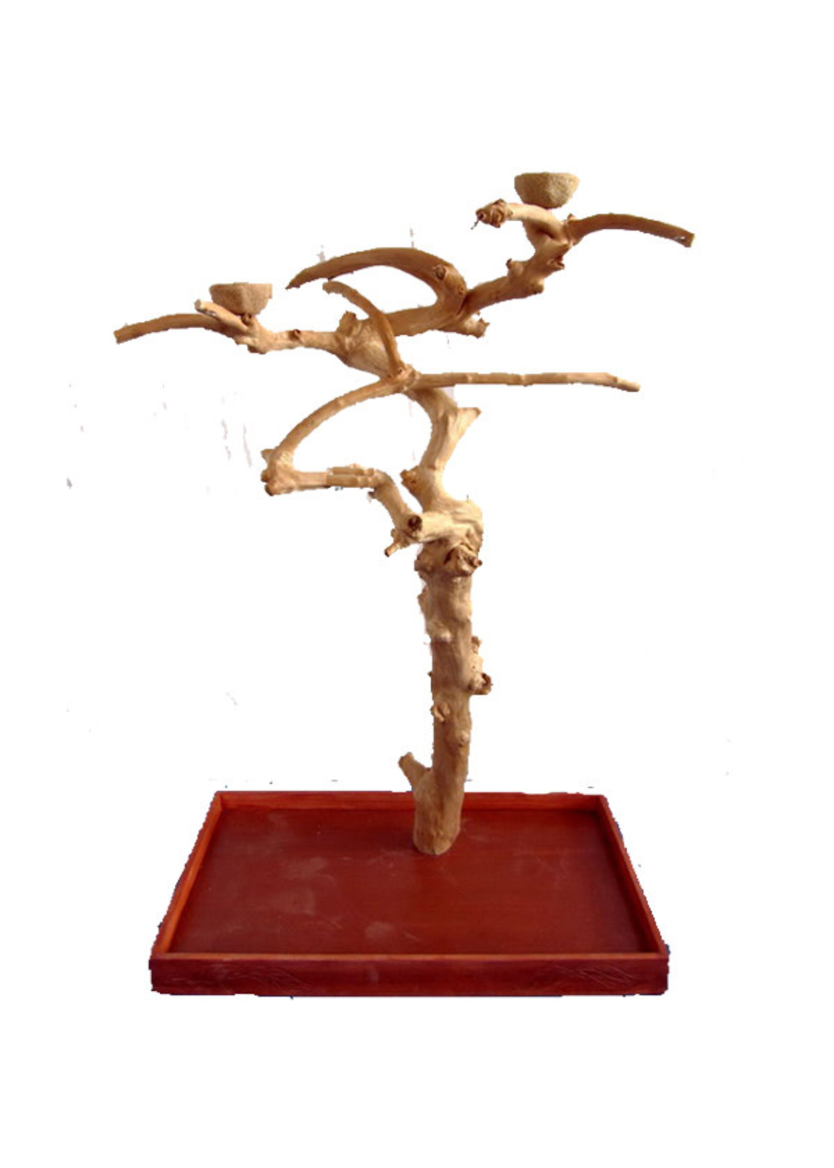 A&E A&E Medium Java Wood Tree Boxed (AE250M - 38"x24"x61")