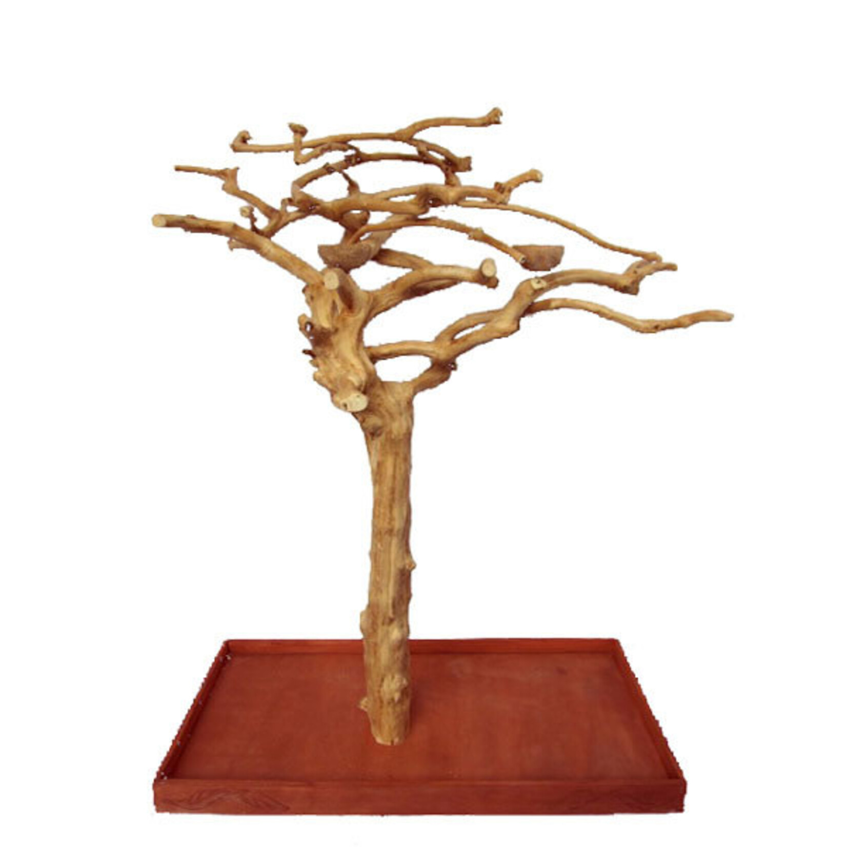 A&E A&E  Small Java Wood Tree (AE200S - 48"x24"x66")