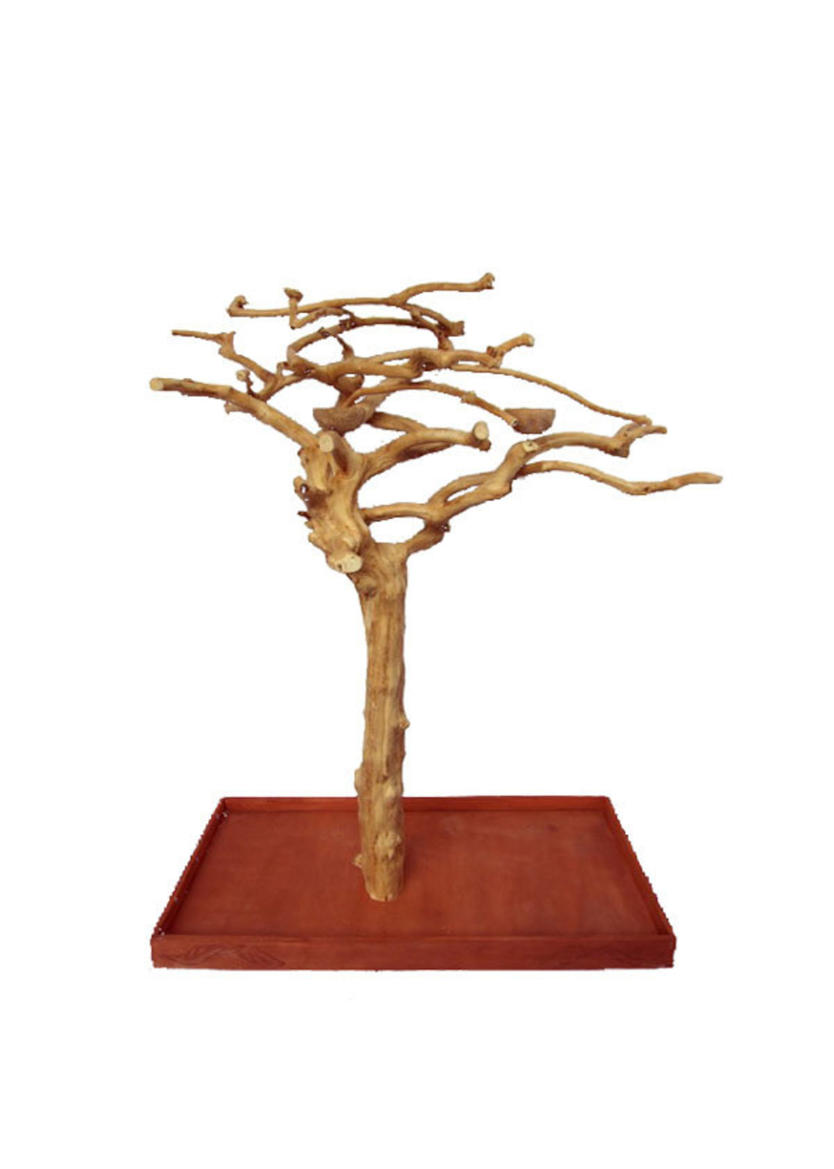 A&E A&E  Small Java Wood Tree (AE200S - 48"x24"x66")