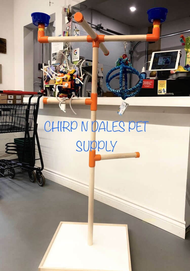 Zoo-Max Zoo Max Wood T Perch Cross, Medium  Floor Stand  (55″H X 32″) T2007WC