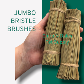 Chirp N Dales Bristle Brushes Jumbo