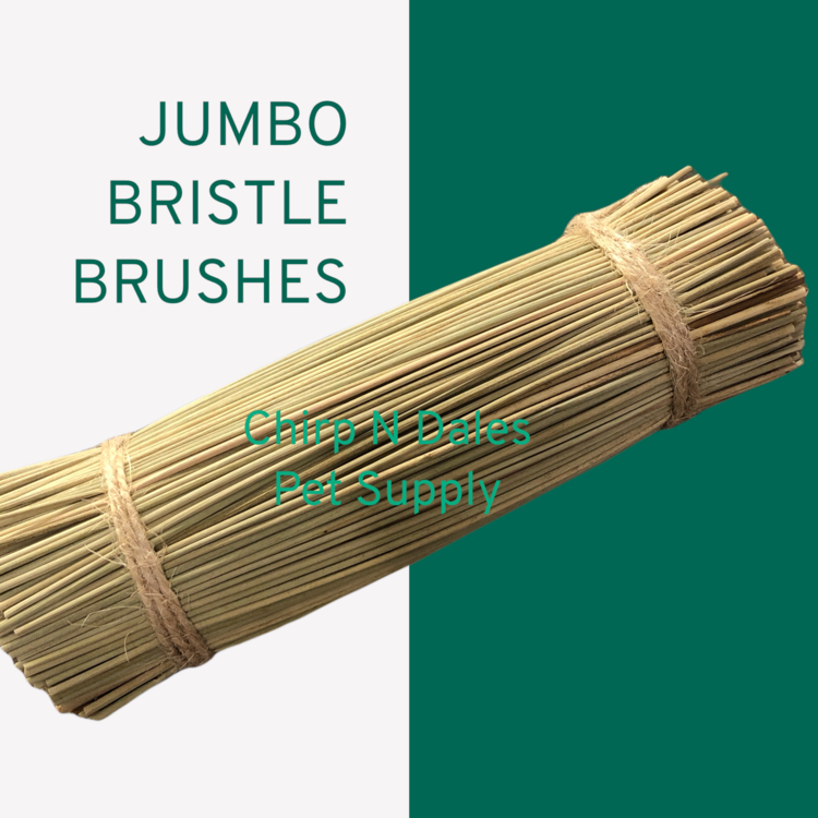 Chirp N Dales Bristle Brushes Jumbo