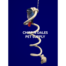 Zoo-Max Zoo Max Spring-O -Bird Cotton Boing 1″ X 96″ 928