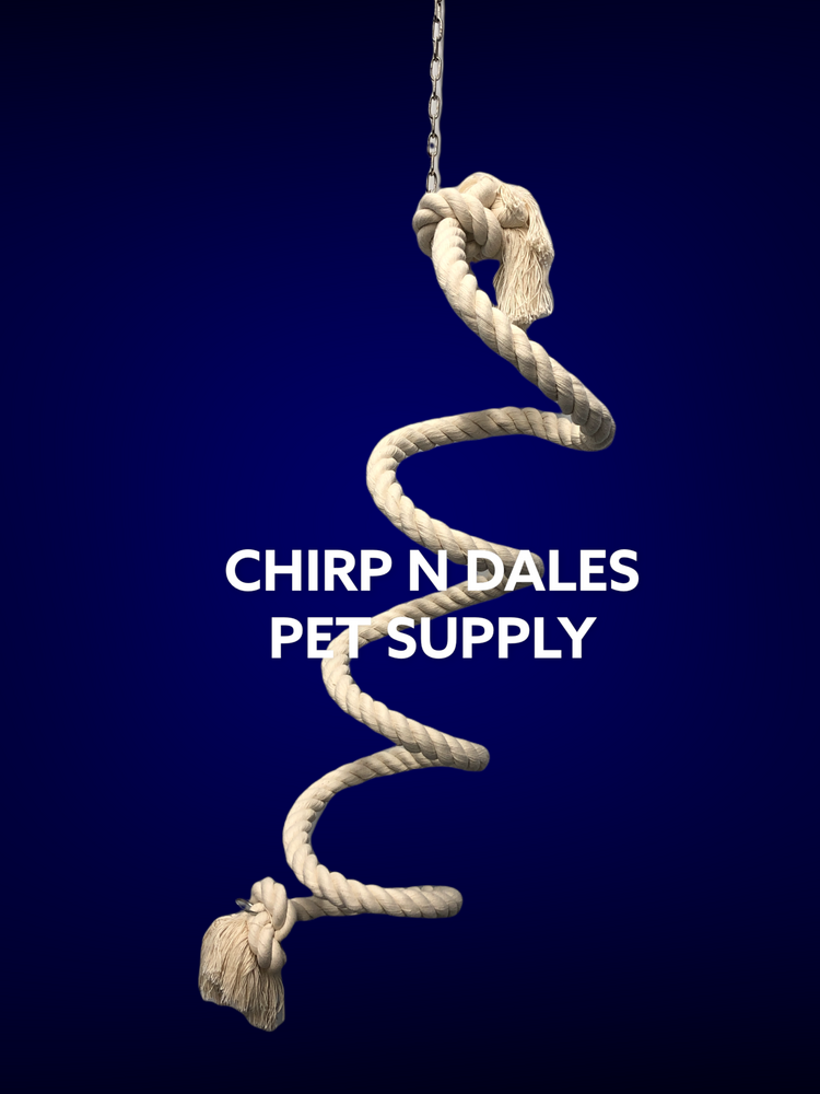 Zoo-Max Zoo Max Spring-O -Bird Cotton Boing 1″ X 96″ 928