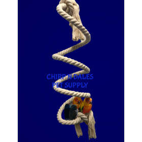 Zoo-Max Zoo Max Spring-O-Bird Cotton Boing 3/4'' X 72'' 924