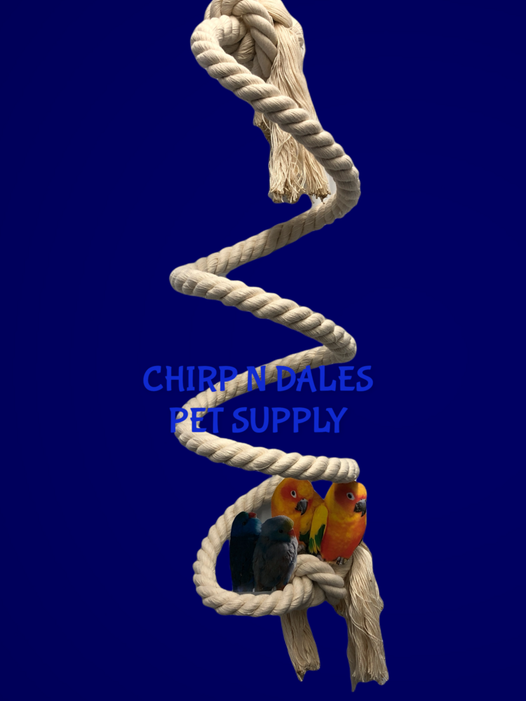 Zoo-Max Zoo Max Spring-O-Bird Cotton Boing 3/4'' X 72'' 924