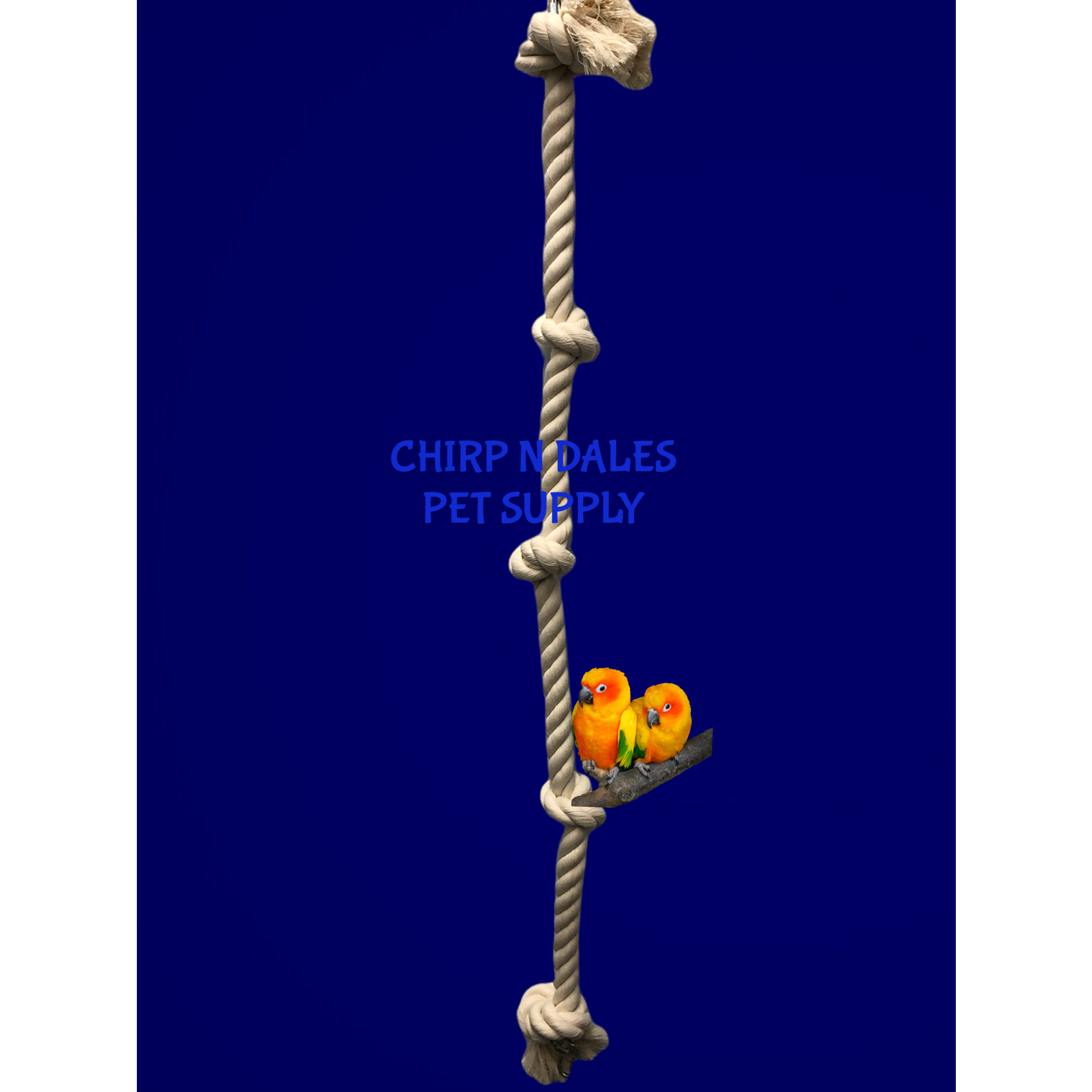 Zoo-Max Cotton Tarzan Rope (3/4" x 3')