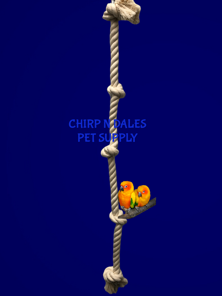 Zoo-Max Cotton Tarzan Rope (3/4" x 3')