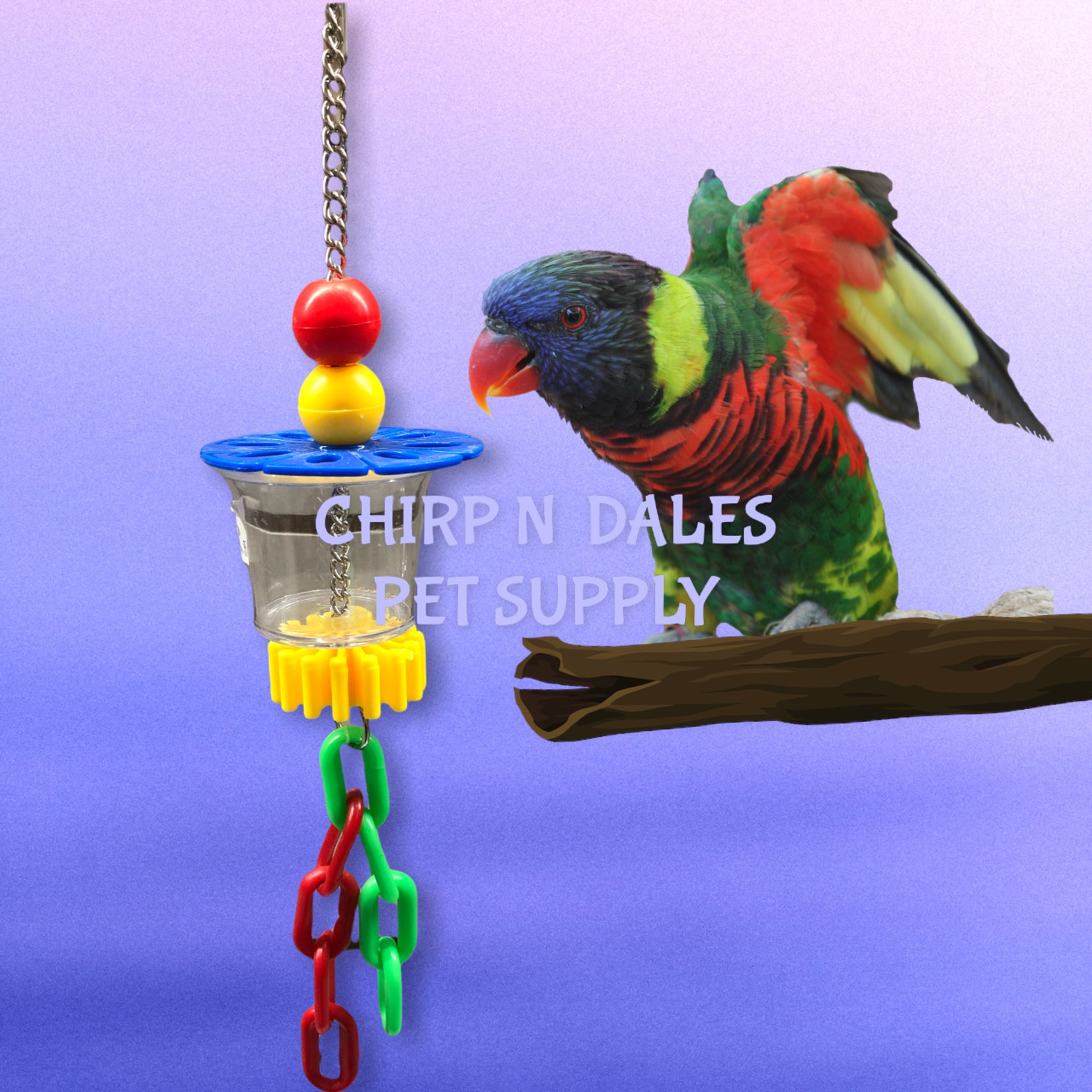 HAPPY FEATHERS FORAGING CUP