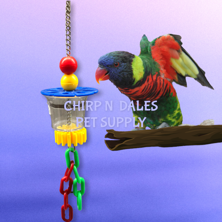 HAPPY FEATHERS FORAGING CUP