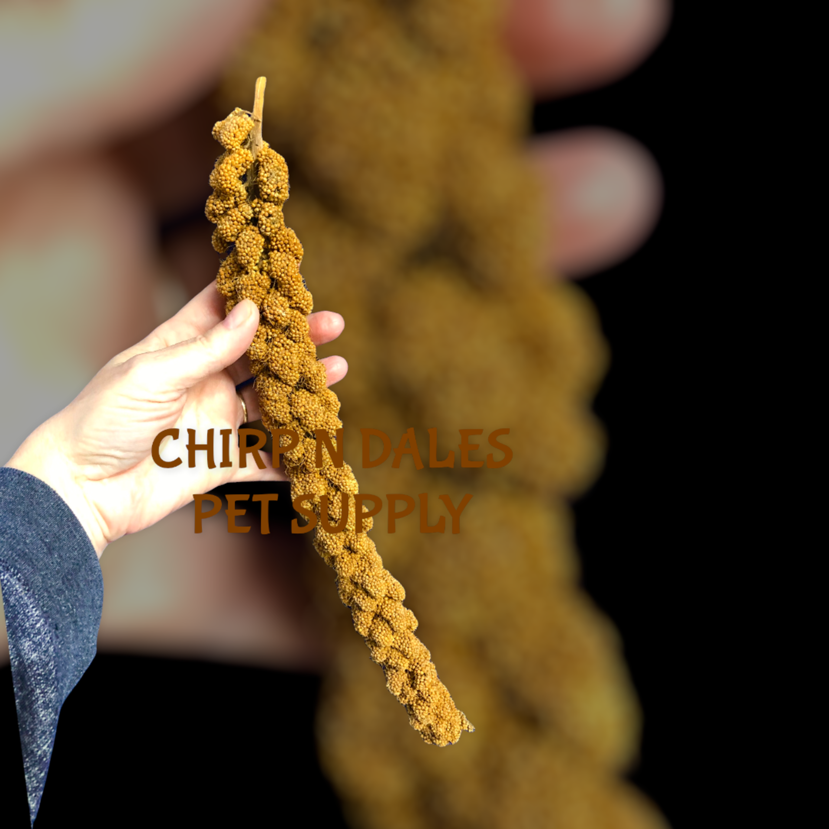 Ralph Moore Millet Spray Individual Stick