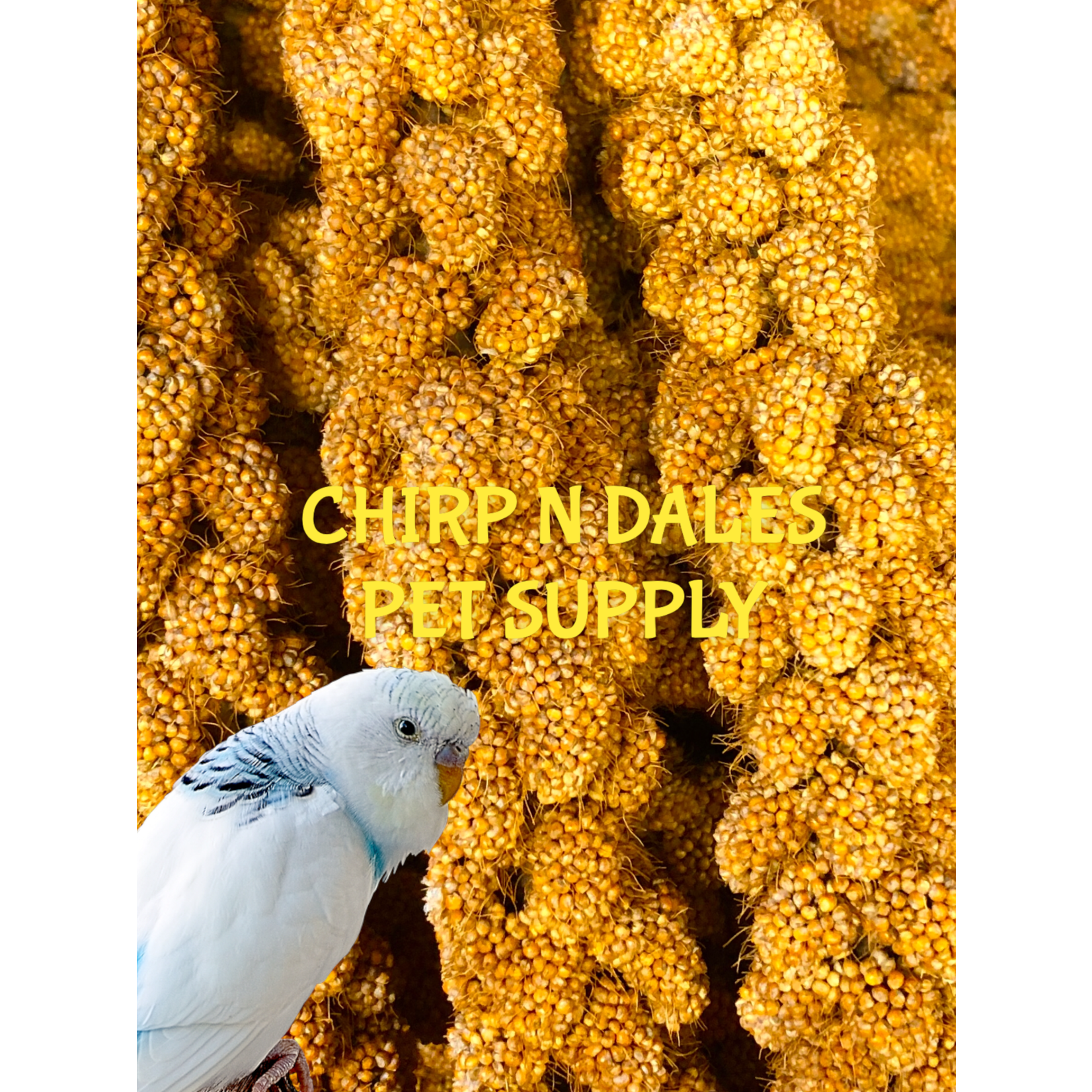 Ralph Moore Millet Spray Individual Stick