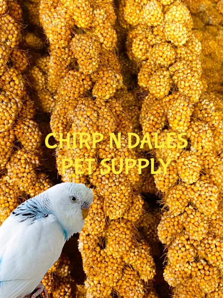 Ralph Moore Millet Spray Individual Stick