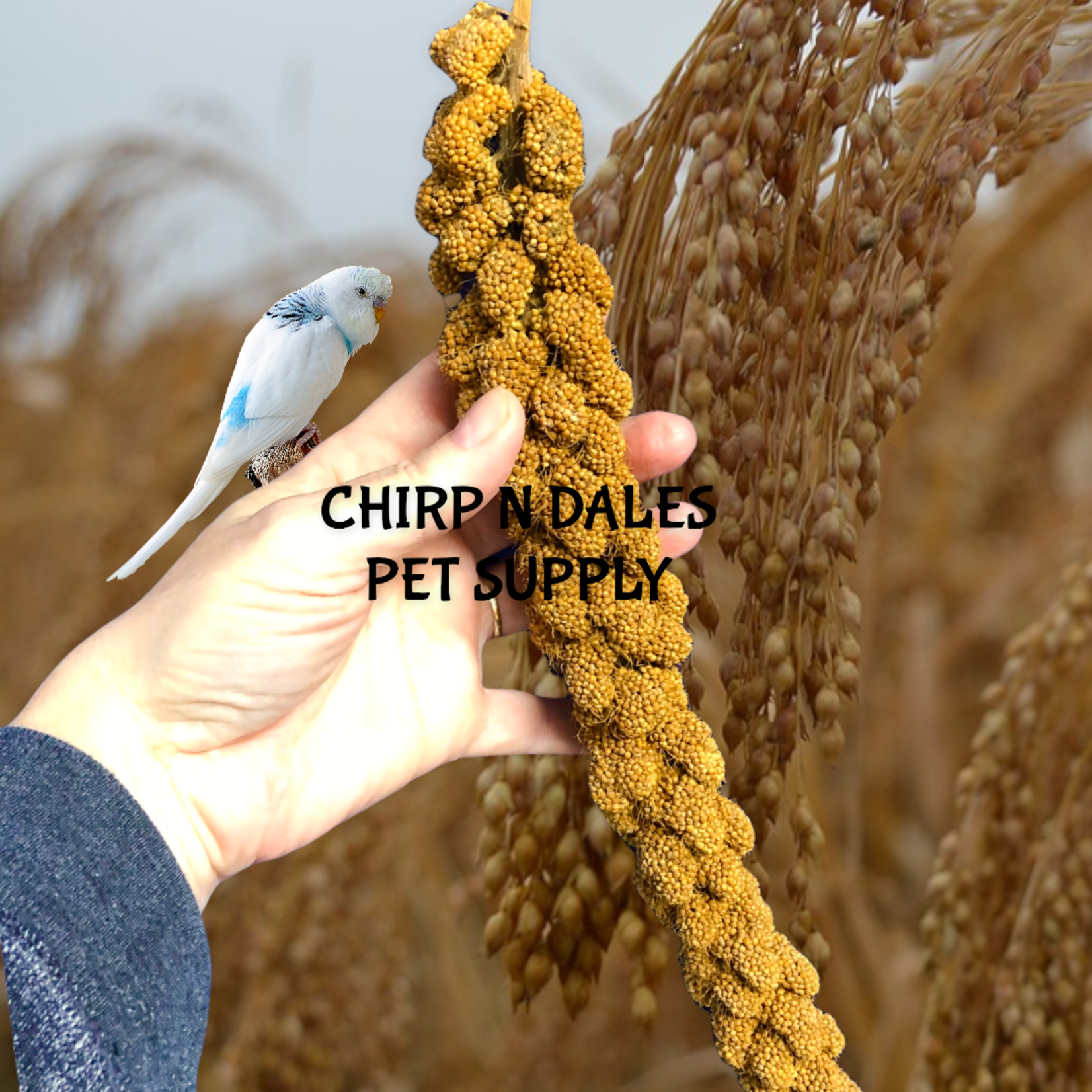 Ralph Moore Millet Spray Individual Stick