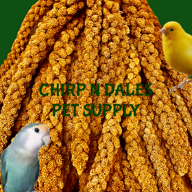 Ralph Moore Spray Millet  5LB Box