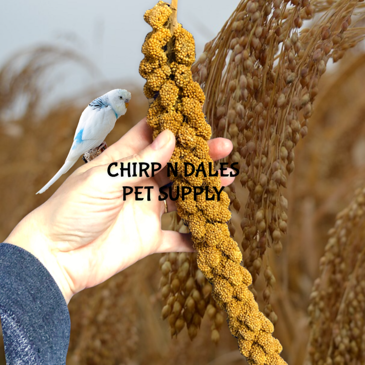 Ralph Moore Ralph Moore Premium Spray Millet  5LB Box