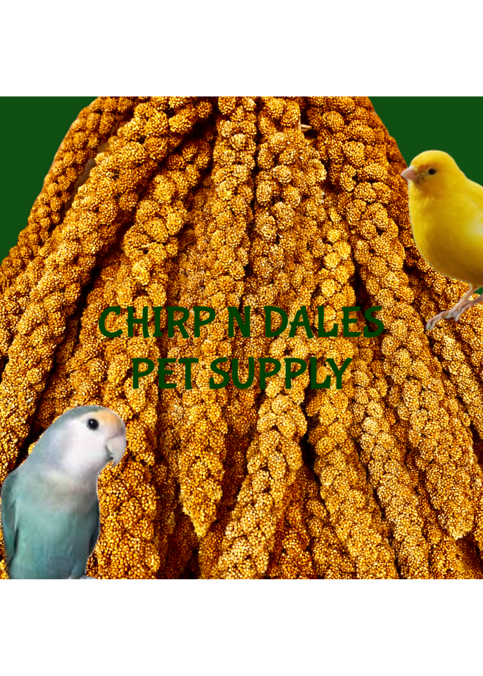 Millet 20LB Box - Chirp N Dales Pet Supply