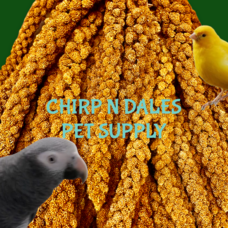 Ralph Moore Spray Millet  20LB Box