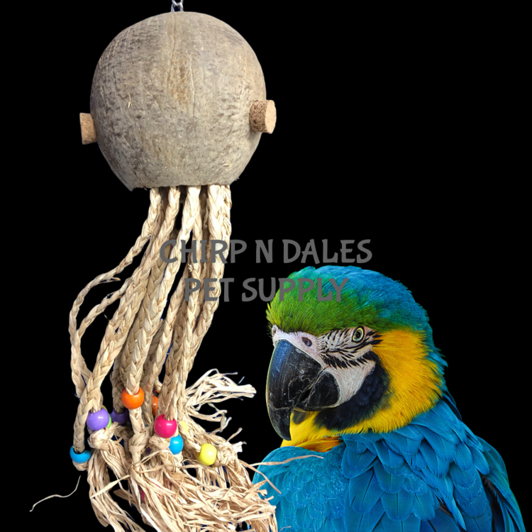 Hari Hari  Smart Play Parrot Toy, Octopus