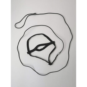 Glitter Pets GP Harness with Leash Extra Small