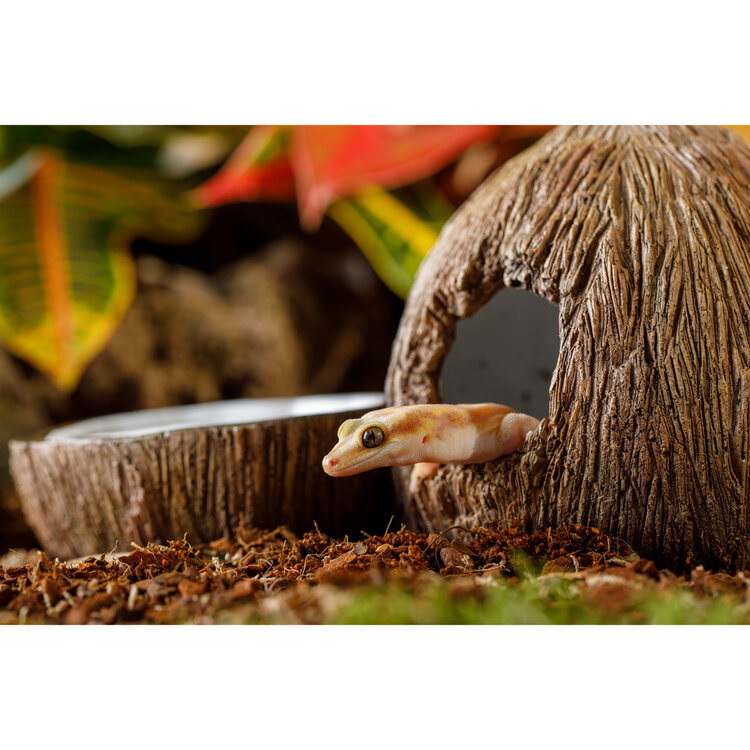 Hagen Hagen Exo Terra Coconut Hide with Water Dish