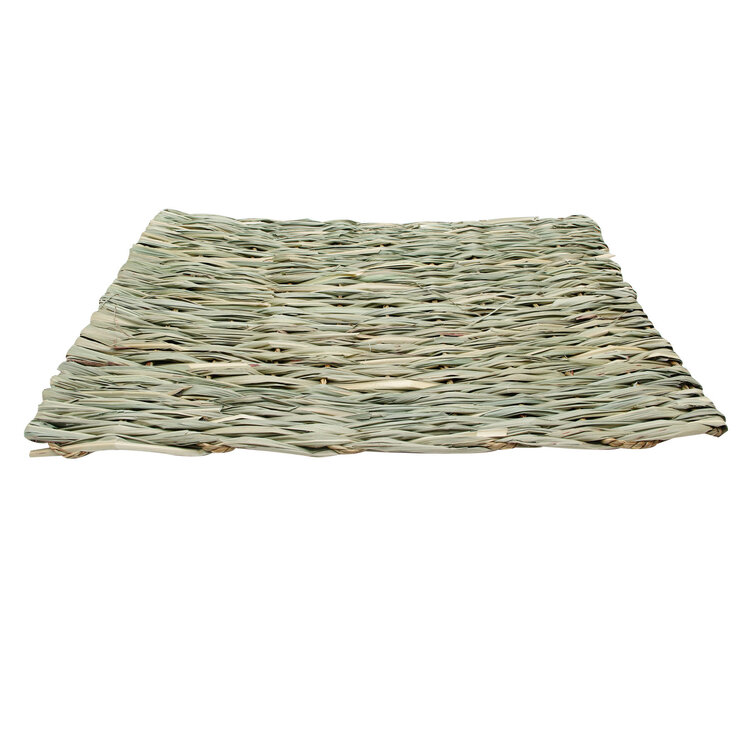 Living World Living World Hangout Grass Mat - Large - 48 x 37 cm (19 x 15 in) 61444