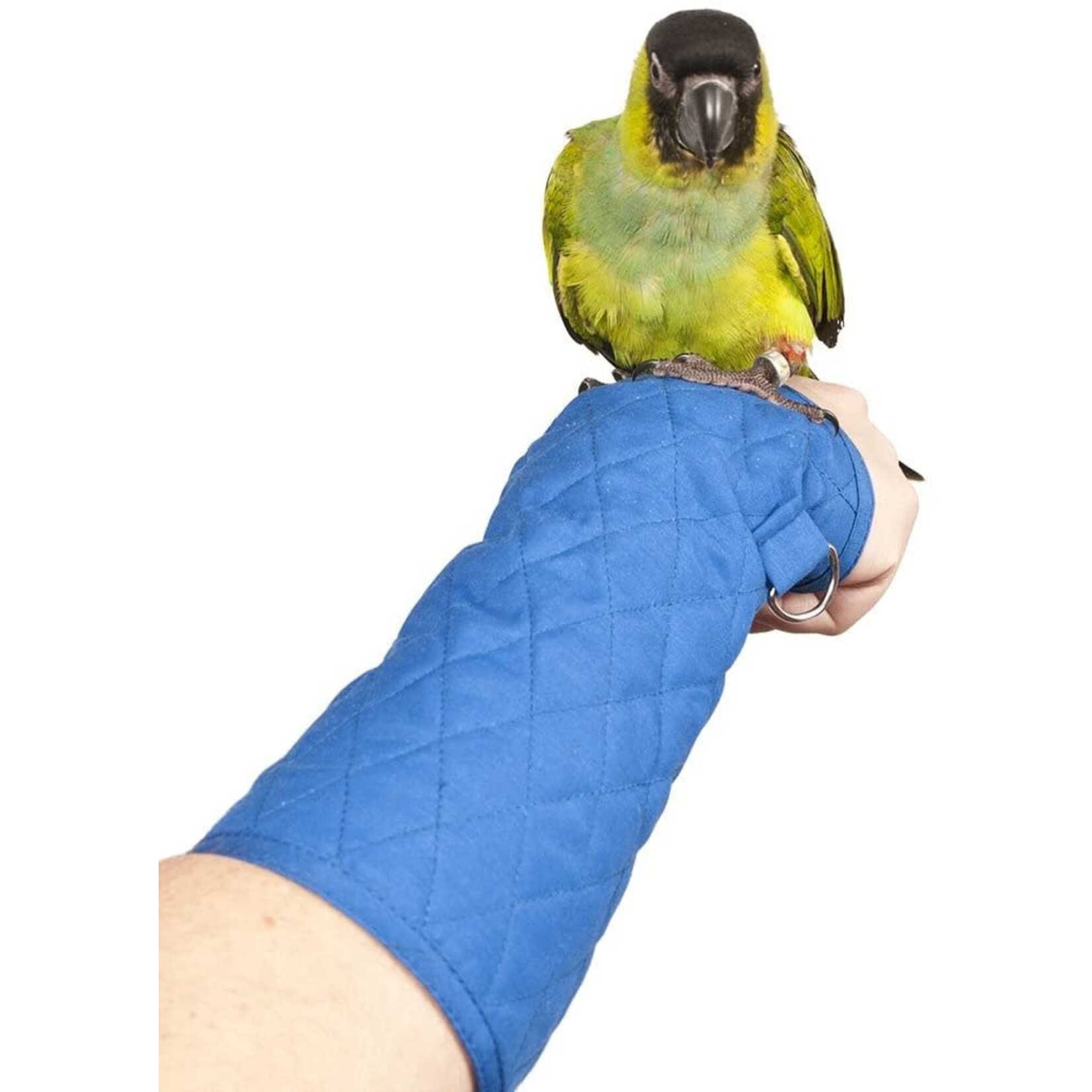 Big Bird Products  Parrot Arm Perch Med